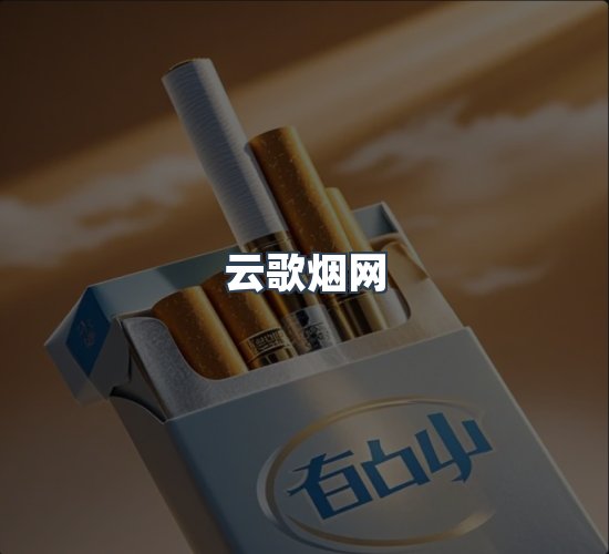 关于云歌烟网
